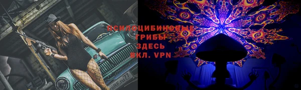 твердый Абаза