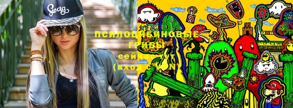 твердый Абаза