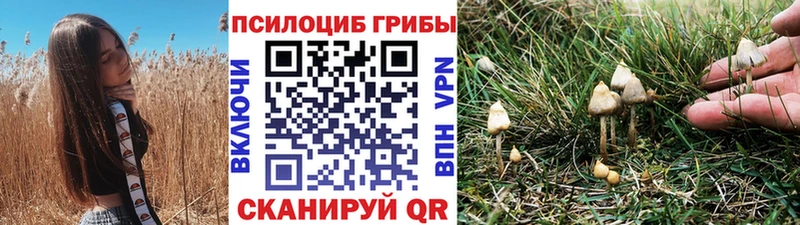 Галлюциногенные грибы GOLDEN TEACHER  мега маркетплейс  Кызыл  цена  