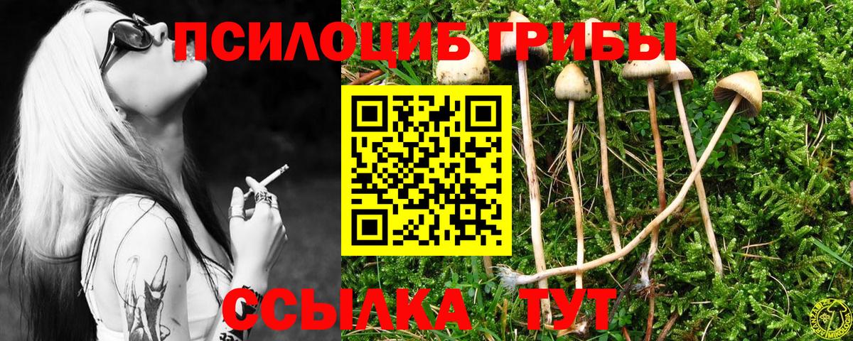 Галлюциногенные грибы прущие грибы  Вход с VPN  Кызыл 