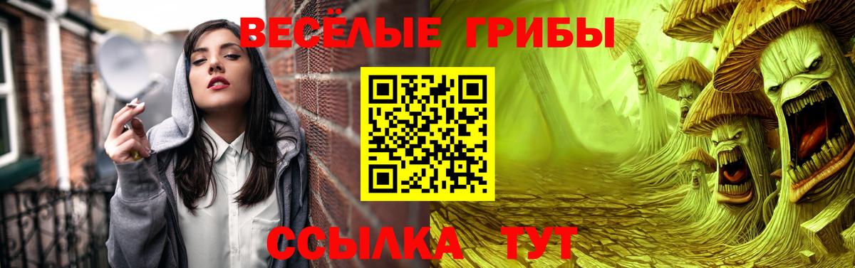 Галлюциногенные грибы прущие грибы Кызыл